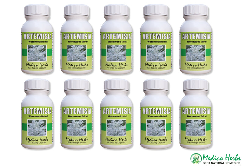 Artemisia Afra African Wormwood 10 bottle 60 x 400mg Capsules