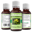 Astragalus Drops (Astragalus Membranaceus) 50ml