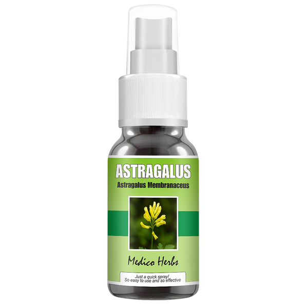 Astragalus Spray (Astragalus Membranaceus) 50ml