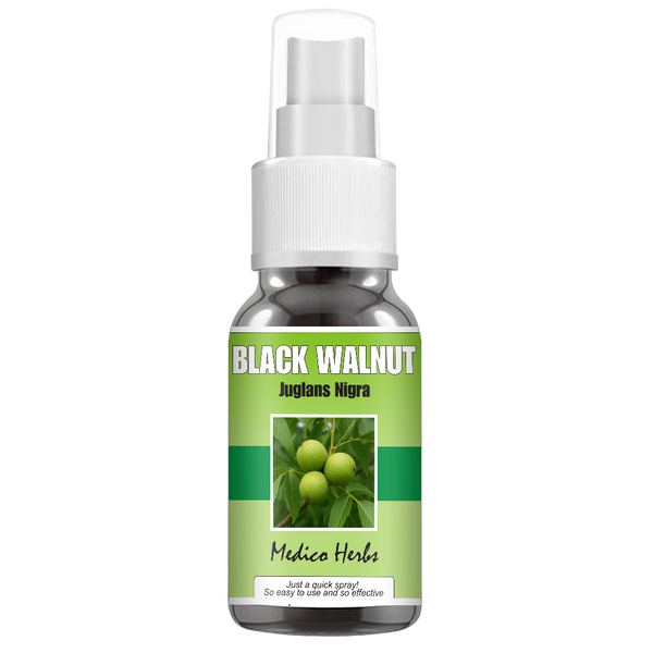 Black Walnut Spray (Juglans Nigra) 50ml