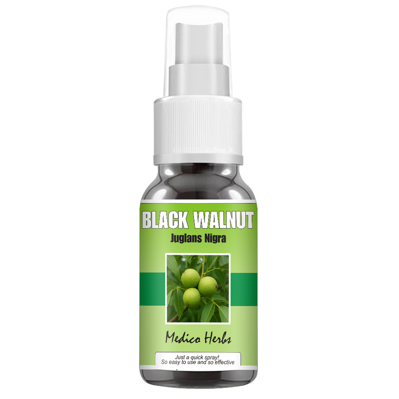 Black Walnut Spray (Juglans Nigra) 50ml
