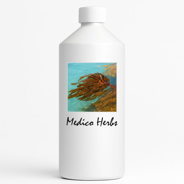 Bladder Wrack (Fucus Vesiculosus) 500ml