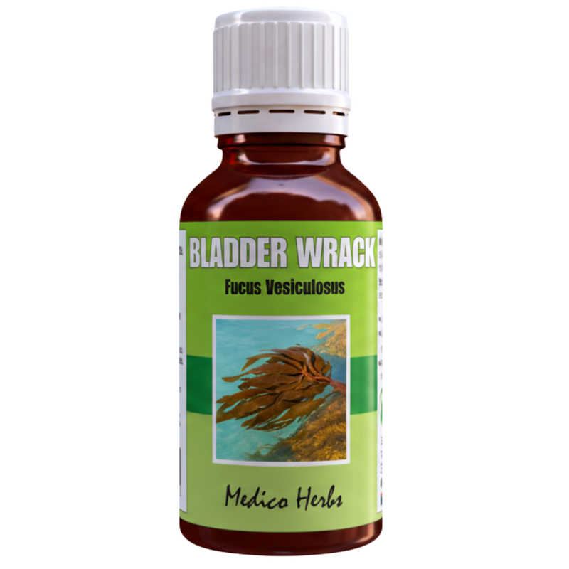 Bladderwrack Drops (Fucus Vesiculosus) 50ml