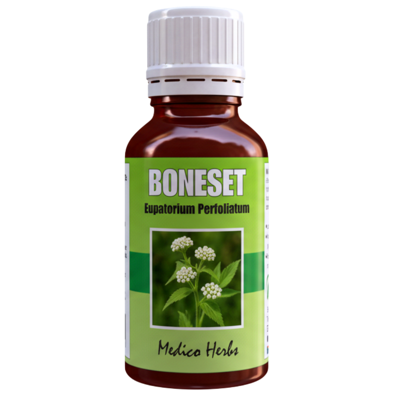 Boneset Drops (Eupatorium Perfoliatum) 50ml