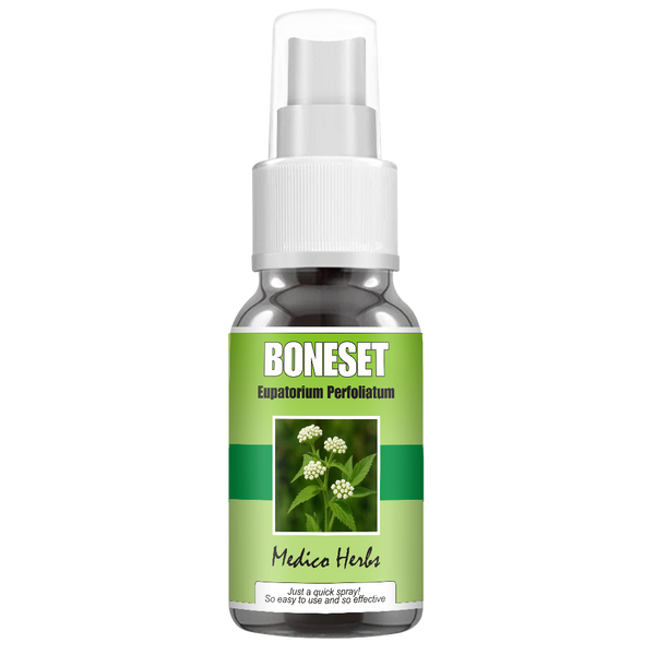 Boneset Spray (Eupatorium Perfoliatum) 50ml