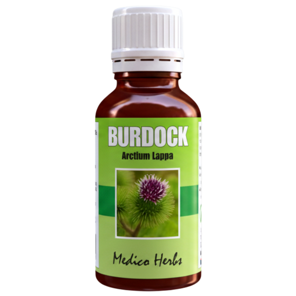Burdock Drops (Arctium Lappa) 50ml
