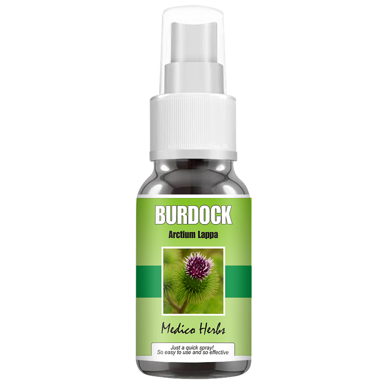 Burdock Spray (Arctium Lappa) 50ml