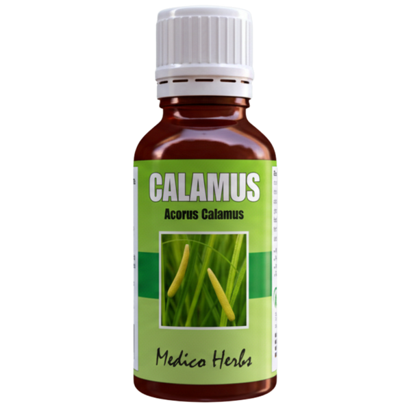 Calamus Drops (Acorus Calamus) 50ml