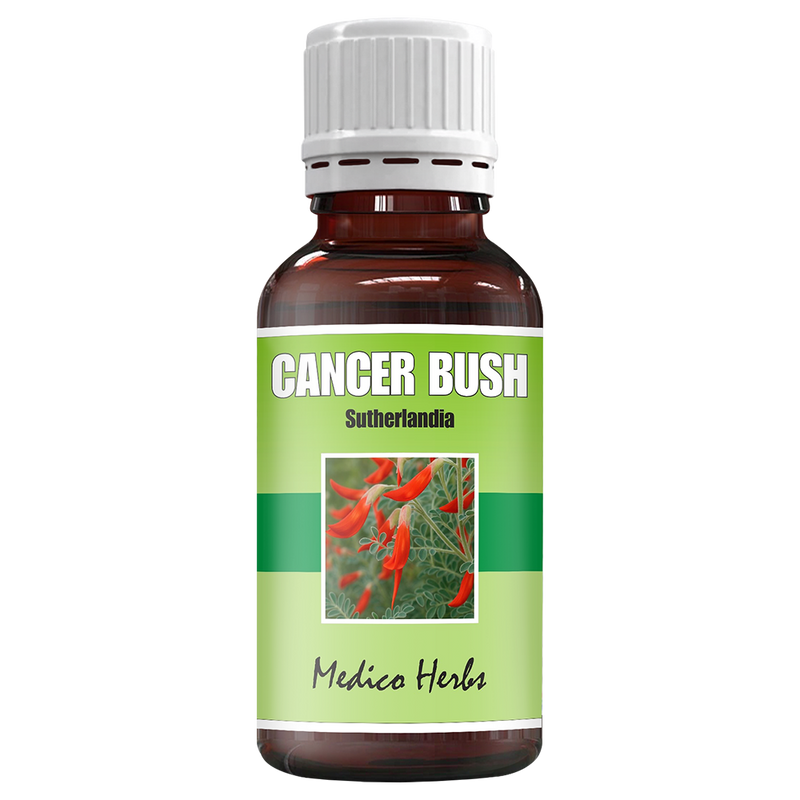 Cancer Bush Drops (Sutherlandia Frutescens) 50ml