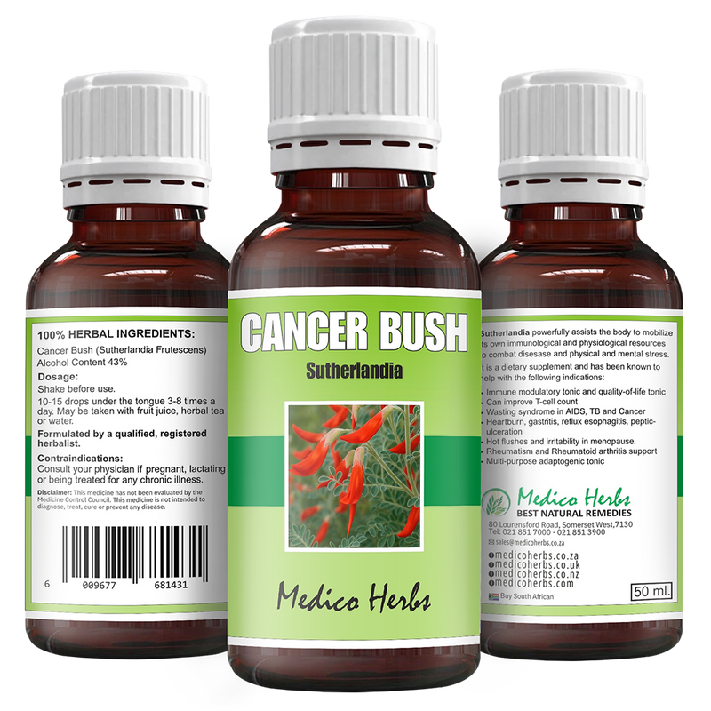 Cancer Bush Drops (Sutherlandia Frutescens) 50ml