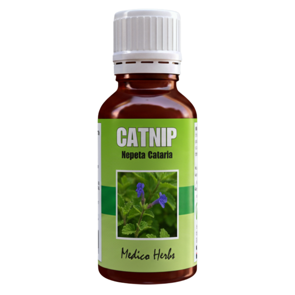Catnip Drops (Nepeta Cataria) 50ml