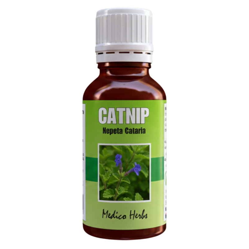 Catnip Drops (Nepeta Cataria) 50ml
