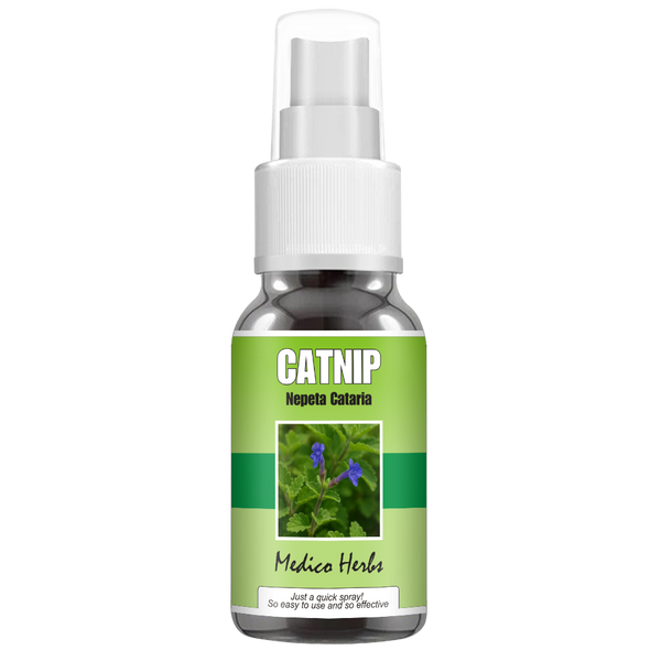 Catnip Spray (Nepeta Cataria) 50ml