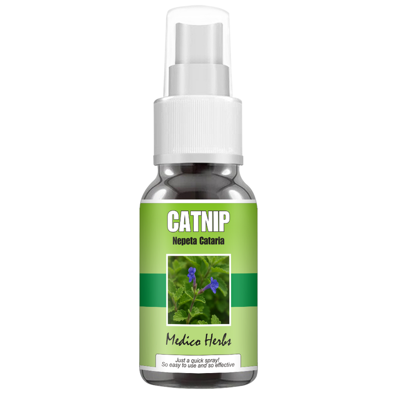 Catnip Spray (Nepeta Cataria) 50ml