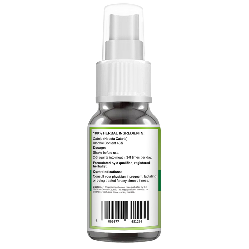 Catnip Spray (Nepeta Cataria) 50ml