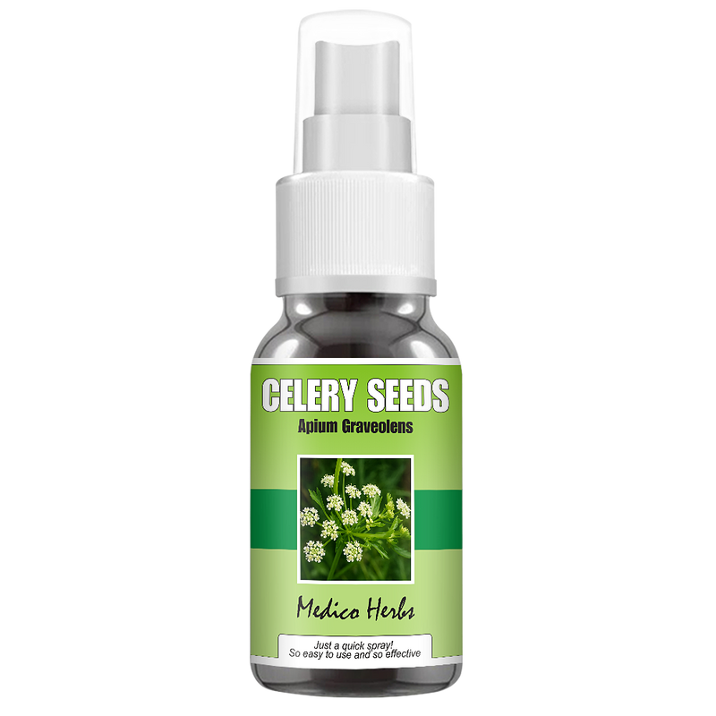 Celery Seeds Spray (Apium Graveolens) 50ml
