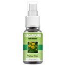 Elecampane Spray (Inula Helenium) 50ml