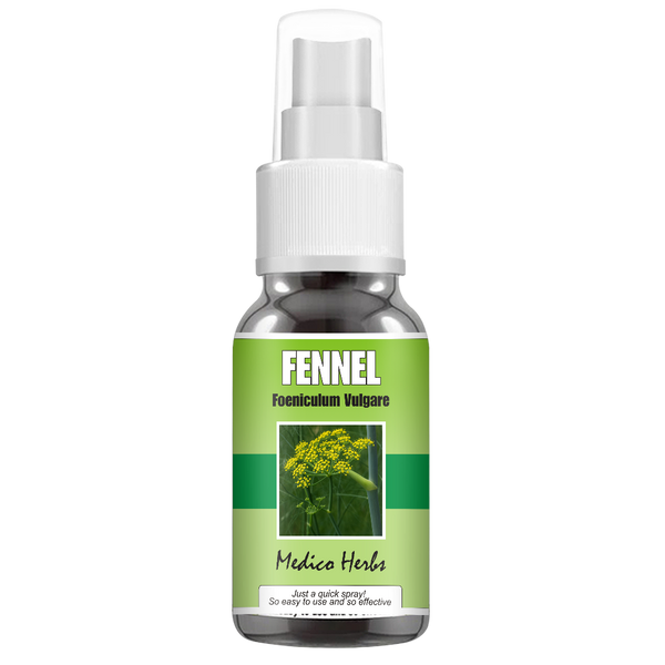 Fennel Spray (Foeniculum Vulgare) 50ml