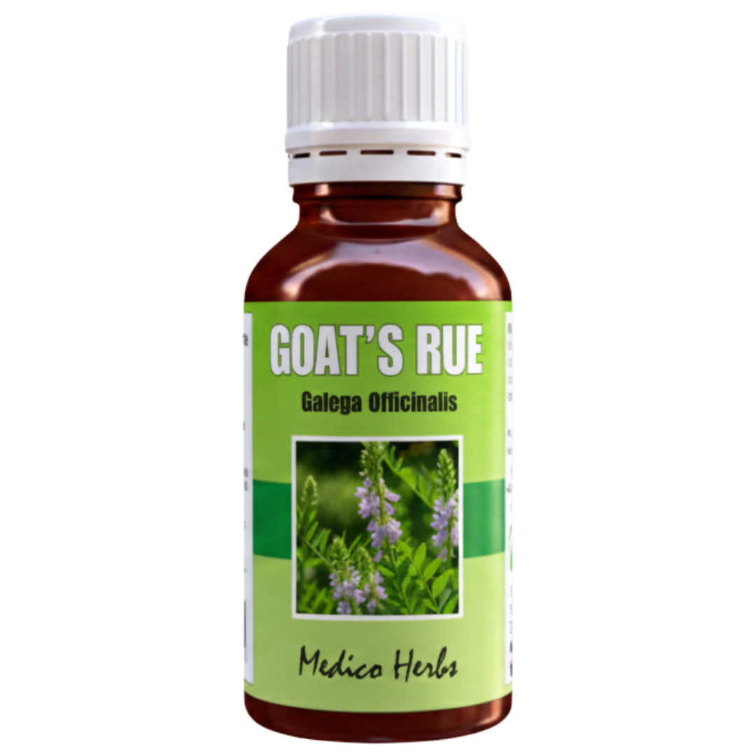 Goat's Rue Drops (Galega Officinalis) 50ml