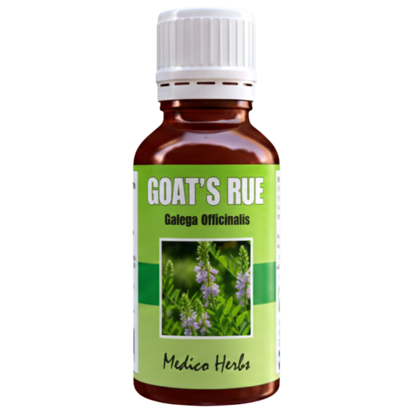 Goat's Rue Drops (Galega Officinalis) 50ml
