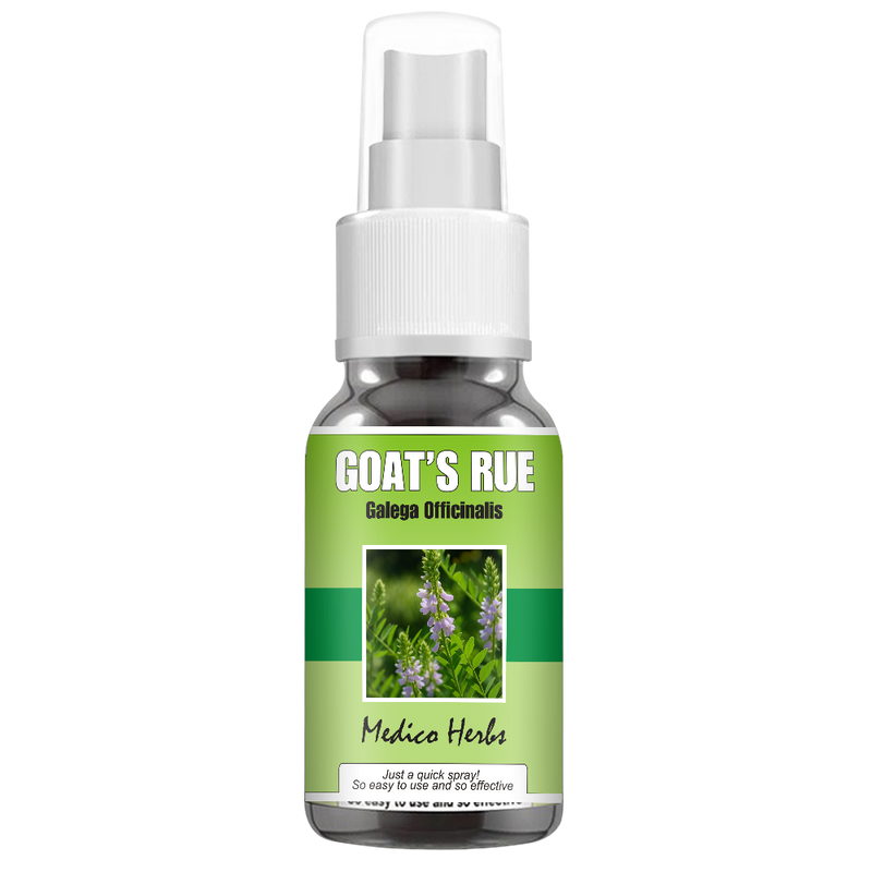 Goat's Rue Spray (Galega Officinalis) 50ml