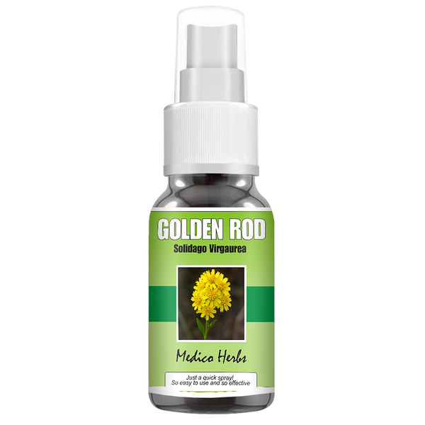 Goldenrod Spray (Solidago Virgaurea) 50ml