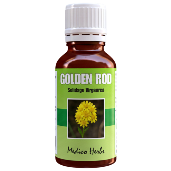 Goldenrod Drops (Solidago Virgaurea) 50ml