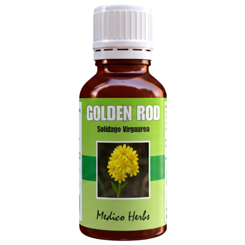 Goldenrod Drops (Solidago Virgaurea) 50ml