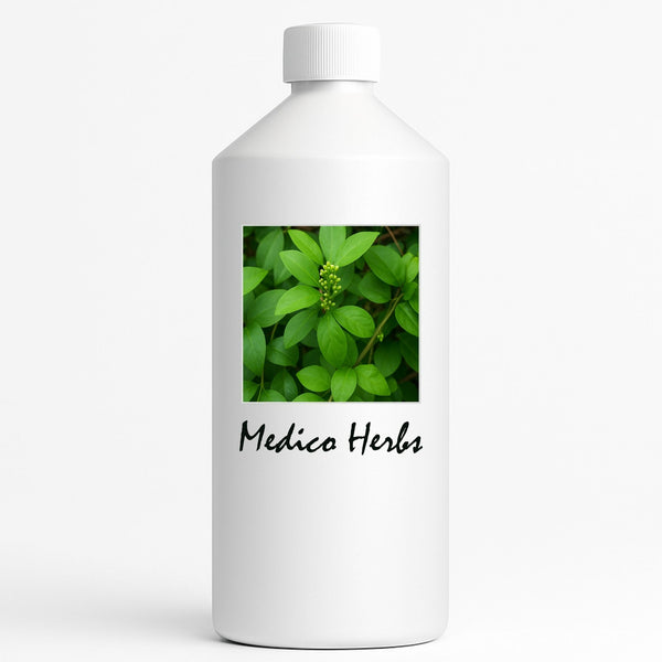 Gymnema (Gymnema Sylvestre) 500ml