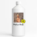 Hoodia Gordonii Extra Strength 500ml Bulk