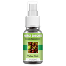 Horse Chestnut Spray (Aesculus Hippocastanum) 50ml