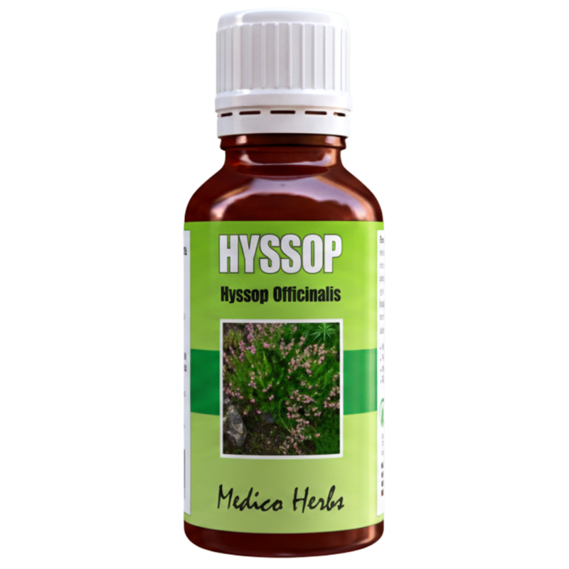 Hyssop Drops (Hyssopus Officinalis) 50ml