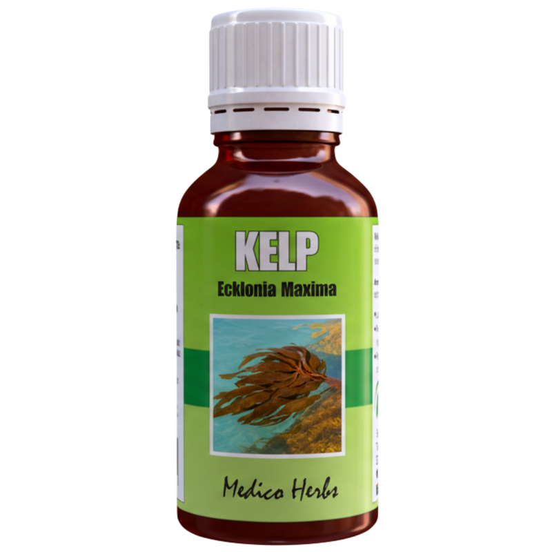 Kelp Drops (Ascophyllum Nodosum) 50ml