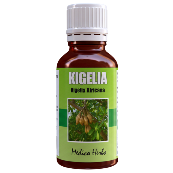 Kigelia Liquid Africana Sausage Tree Fruit Drops 50ml