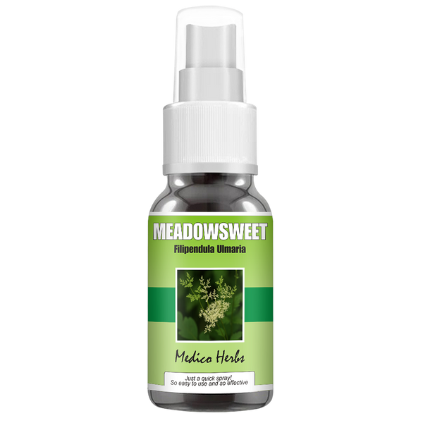 Meadowsweet Spray (Filipendula Ulmaria) 50ml