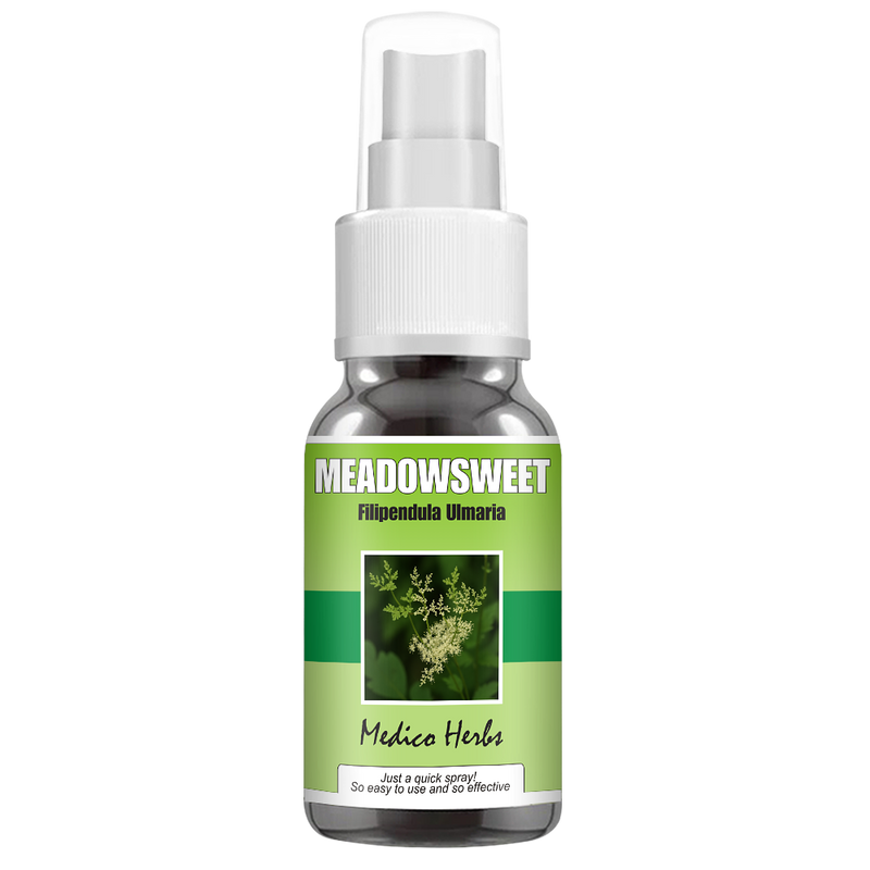 Meadowsweet Spray (Filipendula Ulmaria) 50ml