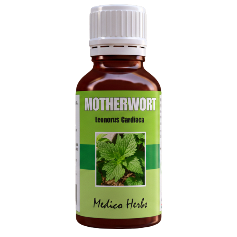 Motherwort Drops (Leonorus Cardiaca) 50ml