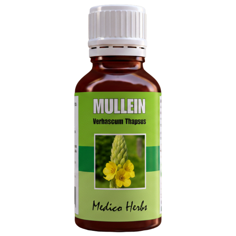 Mullein Drops (Verbascum Thapsus) 50ml