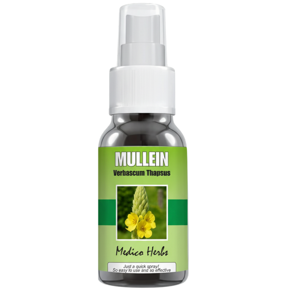 Mullein Spray (Verbascum Thapsus) 50ml