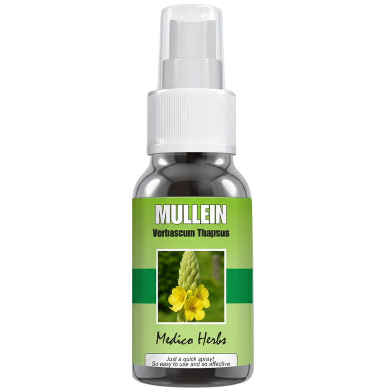 Mullein Spray (Verbascum Thapsus) 50ml