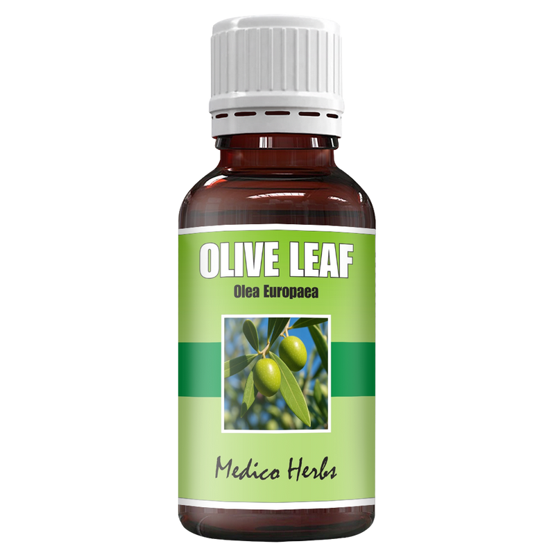 Olive Leaf Cold Pressed Drops (Olea Europaea) 50ml