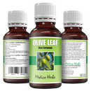 Olive Leaf Cold Pressed Drops (Olea Europaea) 50ml
