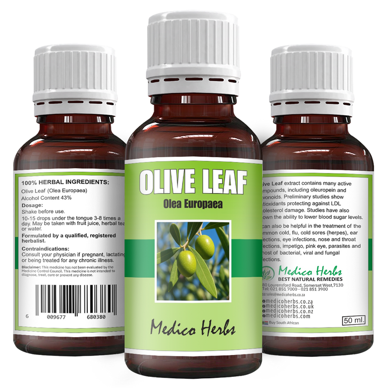Olive Leaf Cold Pressed Drops (Olea Europaea) 50ml