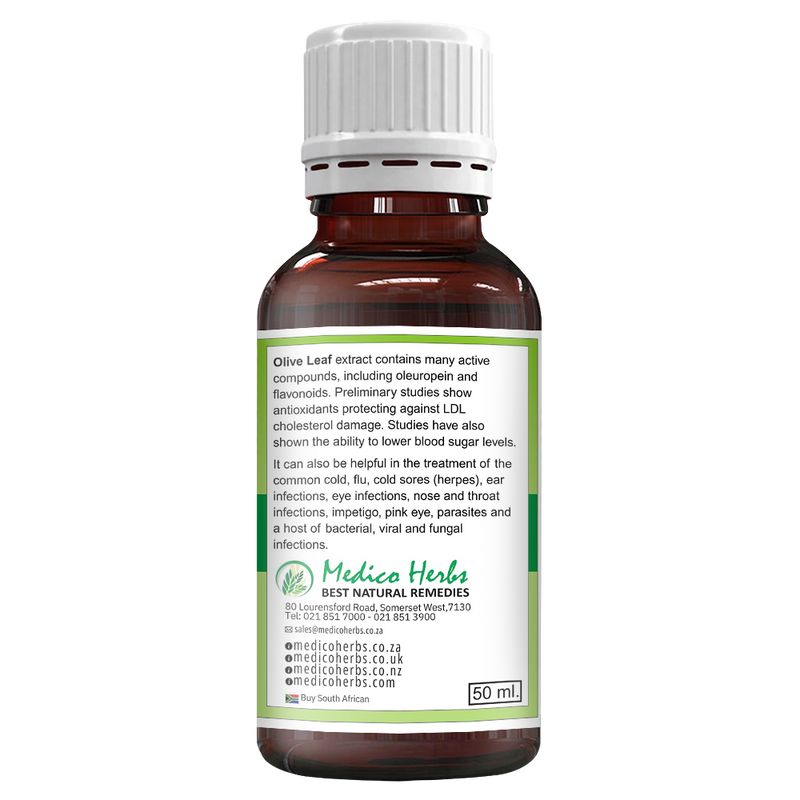 Olive Leaf Cold Pressed Drops (Olea Europaea) 50ml
