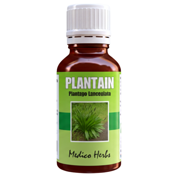Plantain Drops (Plantago) 50ml