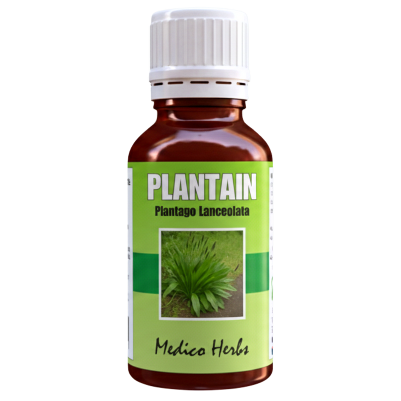 Plantain Drops (Plantago) 50ml