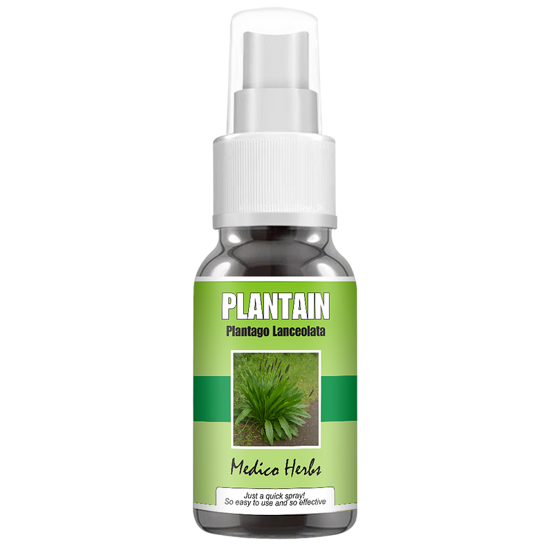 Plantain Spray (Plantago Lanceolata) 50ml