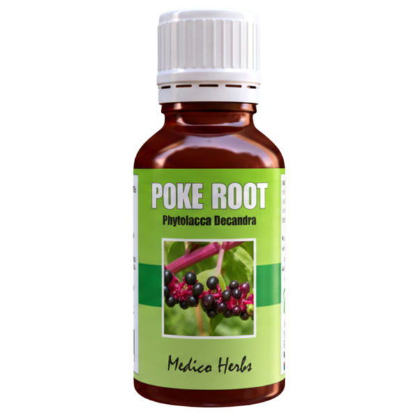 Poke Root Drops (Phytolacca Decandra) 50ml