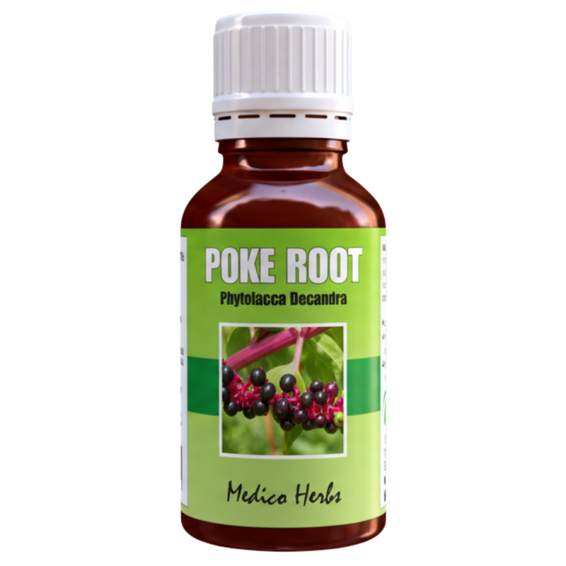 Poke Root Drops (Phytolacca Decandra) 50ml