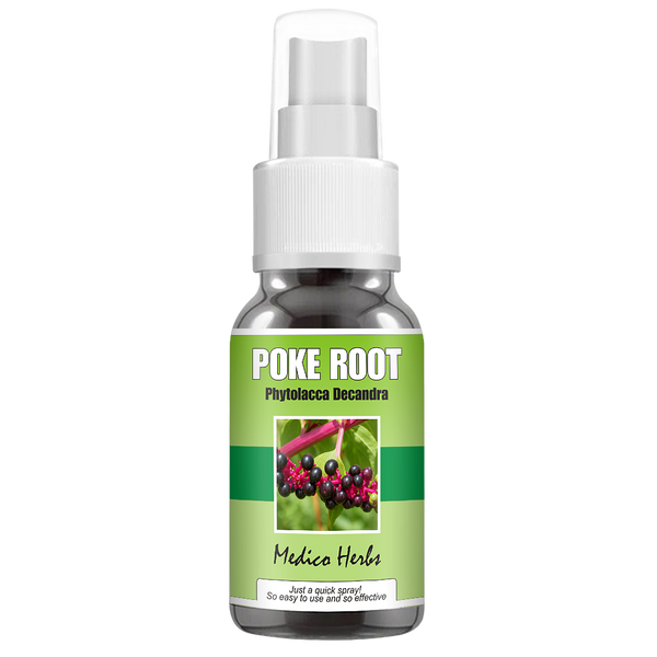 Poke Root Spray (Phytolacca Decandra) 50ml